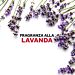 RAID GEL ANTI TARME - LAVANDA - 2PZRaid
