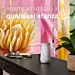 GLADE SENSE & SPRAY RICARICA - MELA & CANNELLA 18MLGlade