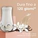 GLADE DIFFUSORE ELETTRICO + RICARICA VANIGLIAGlade