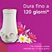 GLADE RICARICA ELETTRICA - RELAXIN ZEN - 2PZGlade