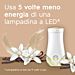 GLADE RICARICA ELETTRICA - VANIGLIA - 2PZGlade