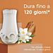 GLADE RICARICA ELETTRICA - SANDALO & GELSOMINO - 2PZGlade