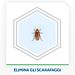RAID ESCA PER SCARAFAGGI - 6PZRaid
