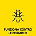 RAID ESCA PER FORMICHE BIPACCORaid