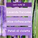 GLADE SPRAY AMBIENTE MIX 1 - 300MLGlade