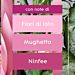 GLADE SPRAY AMBIENTE MIX 1 - 300MLGlade