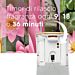GLADE AUTOMATIC BASE + RICARICA WARM APPLE PIEGlade