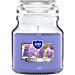 AURA CANDELA IN VETRO - VIOLET GARDEN - 120GAura