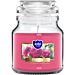 AURA CANDELA IN VETRO - PEONIA - 120GAura