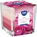 CANDELA TRICOLORE - ROSA - 170GAura