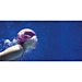 CUFFIA HYDRO-SWIM IN SILICONEBestway