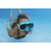 SET SNORKELING - AQUA PRIME 14+Bestway