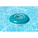 DOSATORE CHIMICO GALLEGGIANTE - 16CMBestway