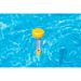 TERMOMETRO GALLEGGIANTE PER PISCINABestway