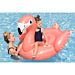 CAVALCABILE PER KIDS - FENICOTTERBestway