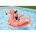 CAVALCABILE PER KIDS - FENICOTTERBestway