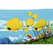 PISCINA BIMBI - SEA GROUND - 262x157CMBestway