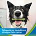 Dentalife - ActiveFresh Snack Igiene Orale - Cane Medium - 115gDentalife