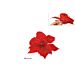 POINSETTIA C/PINZETTA 20CM ROSSO ART 2019320(DF13XDue Esse