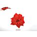 POINSETTIA C/PINZETTA 25CM ROSSO ART2019329 (DF13DDue Esse