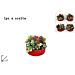 CENTROTAVOLA TONDO PICCOLO 13CM 4ASS. ART.B2M-19A-Due Esse