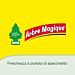 ARBRE MAGIQUE - GREEN FOREST & BERGAMOTTOArbre Magique