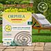 ORPHEA ZAMPIRONE ANTI-ZANZARE - 10PZOrphea