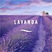 AMBIPUR AIR - LAVANDA - 300MLAmbipur