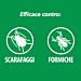 BAYGON SPRAY SCARAFAGGI & FORMICHE - 400MLBaygon