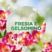 AIR WICK ACTIVE FRESH - FRESIA & GELSOMINOAir Wick