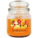 CANDELA ELEGANCE - CITRUS - 100GDea