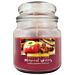 CANDELA ELEGANCE - MAGICAL SPICE - 500GDea