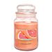 Candela Elegance 500g - PompelmoDea