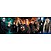PUZZLE 1000PZ PANORAMA HARRY POTTERClementoni