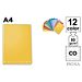 MAXI PIGNA FG. 21         MONOCROMO COPigna