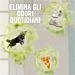 AMBIPUR KIT DIFFUSORE 3VOLUTION - LENOR CAPRIAmbipur