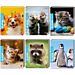 RACCOGLITORE 4 ANELLI A4 - BE MORE BABYBm Be More