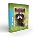 RACCOGLITORE 4 ANELLI A4 - BE MORE BABYBm Be More