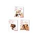 COPERTINA ANELLI PRTOCOLLO DM. 30  BABYOne Color
