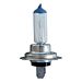 Lampadina Alogena H7 12V/100W - 2pzOto Top