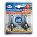 Lampadina Alogena H7 12V/100W - 2pzOto Top
