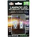 Lampadina LED 12V W2.1x9.5D - Canbus 2 LED - Bianca 2pzOto Top