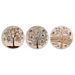 SOTTOBICCHIERE COLL, TREE DIAM, 10Lupia