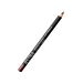 PROFESSIONAL LIP PENCIL N.41 WOODAstra
