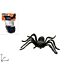 Set 12 Ragni - Decorazione HalloweenDue Esse