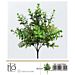 Pianta Artificiale Mazzo Foglie Verdi - 36,5cmGev