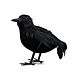 Atosa - Statuetta Corvo -16cmAtosa