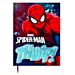 DIARIO NEW SPIDERMAN 12/12Rio