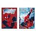 DIARIO GOLD SPIDERMAN 0Rio