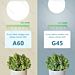 MINI GLOBO LED G45 E14 4W - LUCE FREDDA 340LMAigostar